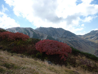 P1020424.JPG