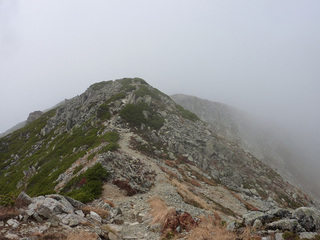 P1020498.JPG